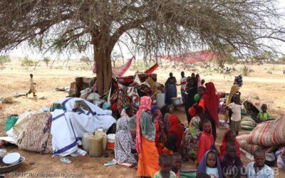 UNHCR mobilizes to help people fleeing Sudan for neighbouring countries