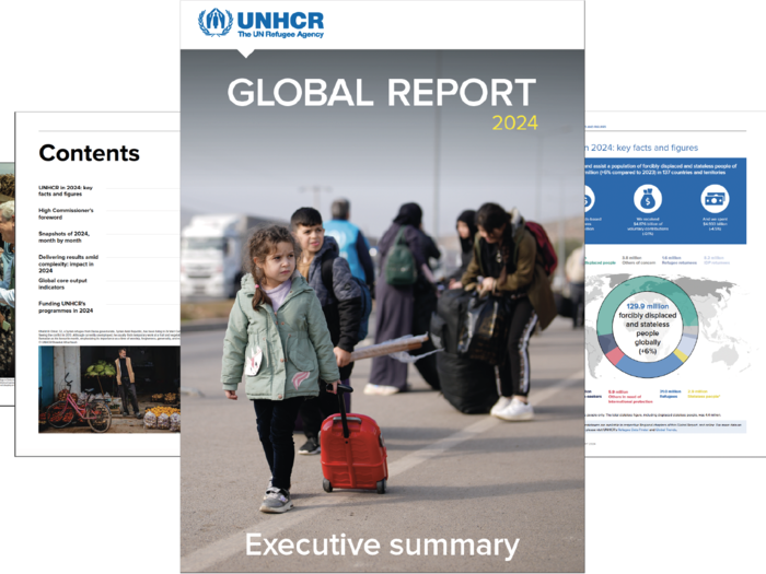 Global Report 2024 snapshot