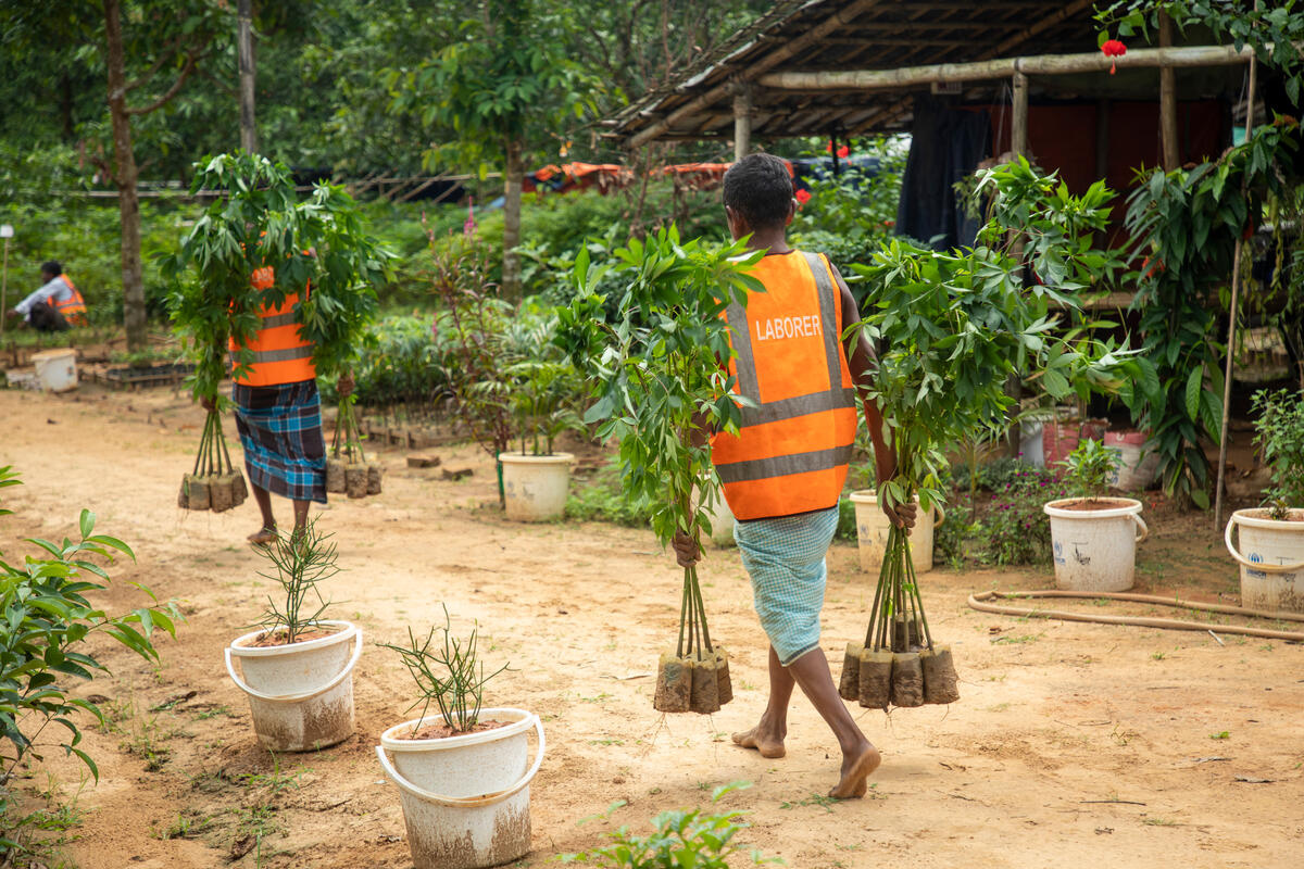 Rohingya refugee volunteers work at a nursery that grows plants to re-green the camps.
