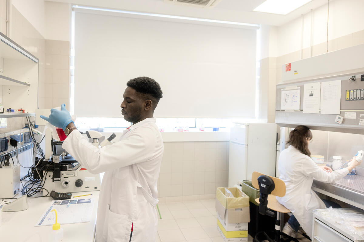 A man and a woman wearing white lab coats conduct experiemnents on opposite sides of a laboratory