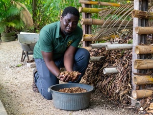Un homme pose avec des baies d'açaí à côté de son composteur.