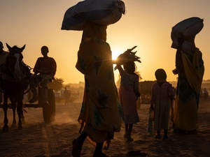 Silhouettes d'un groupe de réfugiés et d'un cheval contre le soleil