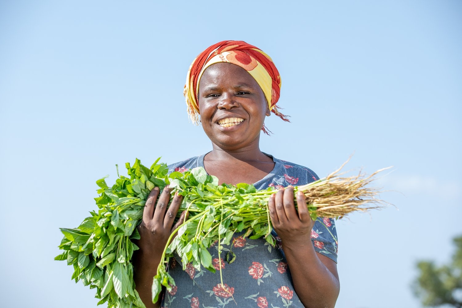 Une femme souriante portant un foulard tient un bouquet de légumes verts