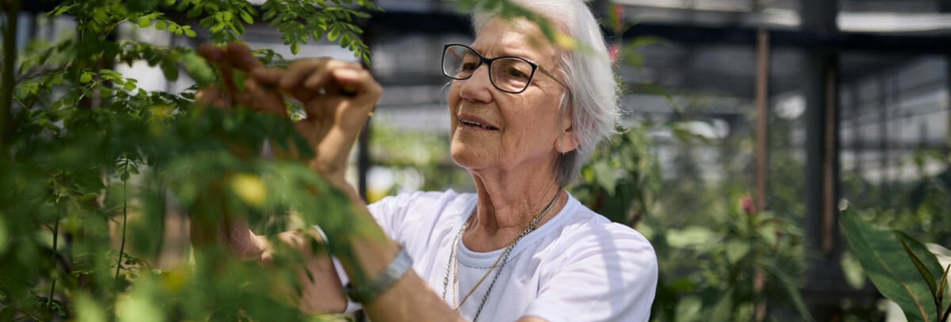 Sœur Rosita Milesi dans une serre construite dans le cadre d'un projet d'agriculture durable