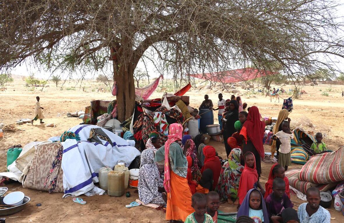 Tchad. Des réfugiés soudanais s'abritent sous un arbre dans un village situé à 5 kilomètres de la frontière avec le Tchad.