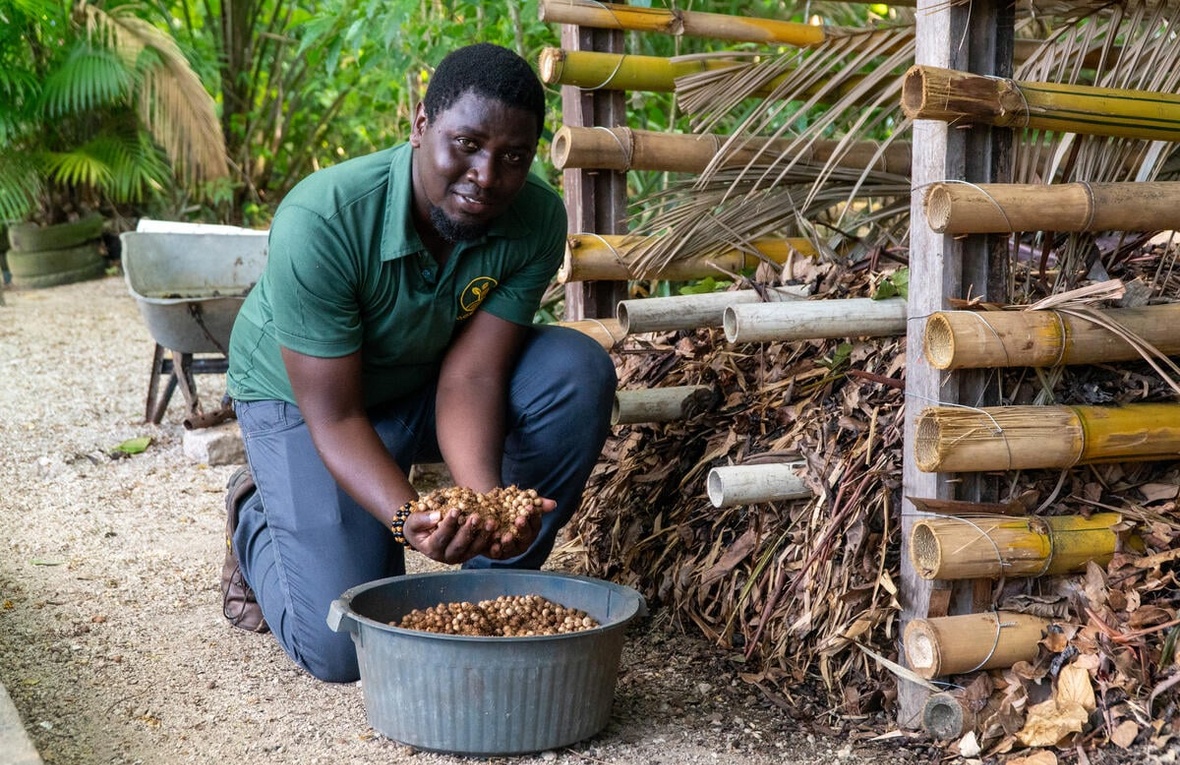 Un homme pose avec des baies d'açaí à côté de son composteur.