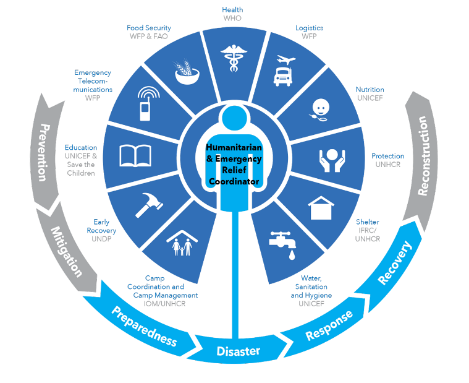 Coordination Unhcr Gbv Toolkit