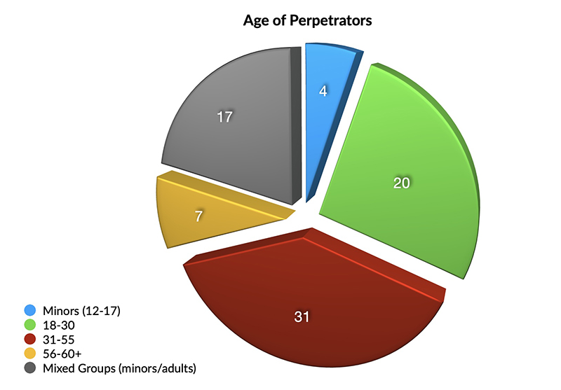 Age of Perpetrators_small