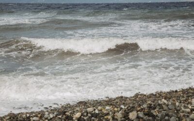 Η Ύπατη Αρμοστεία εκφράζει τη θλίψη της για τα ναυάγια στο Αιγαίο με τουλάχιστον 31 νεκρούς και πολλούς αγνοούμενους