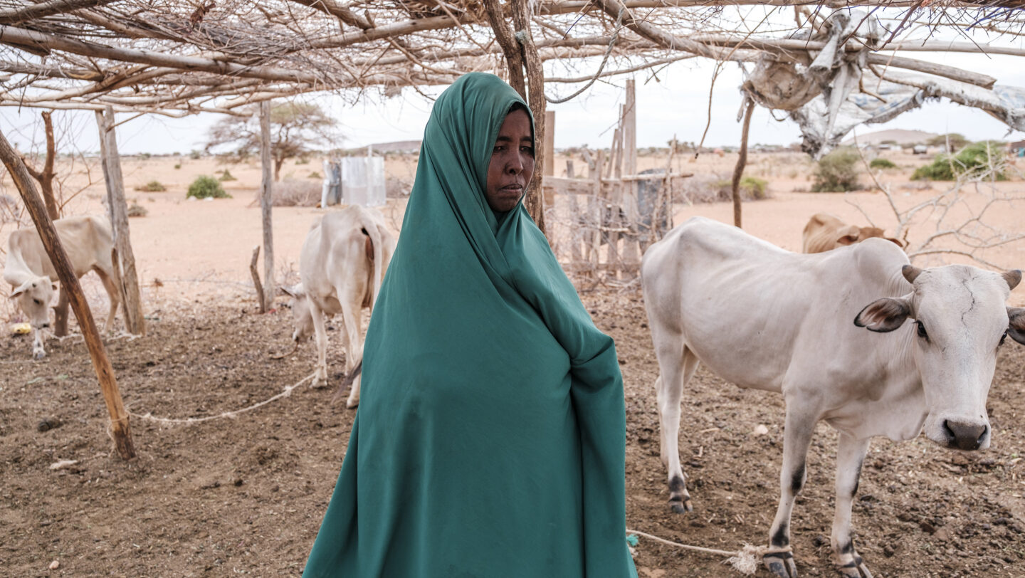 Ethiopia. Internally displaced people due to the drought in Melkadida
