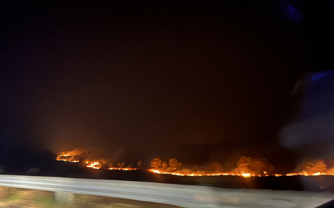 Η Ύπατη Αρμοστεία και ο ΔΟΜ εκφράζουν βαθιά θλίψη για τις τραγικές απώλειες ανθρώπινων ζωών από τις πυρκαγιές στον Έβρο