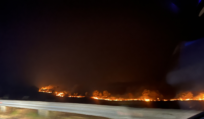 UNHCR and IOM express profound sadness over tragic loss of lives in Evros wildfires