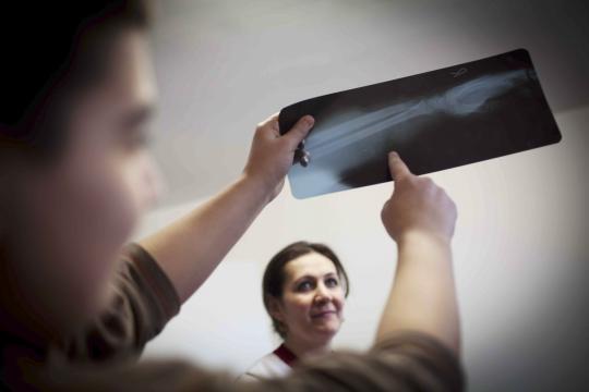 Man looking at an x-ray