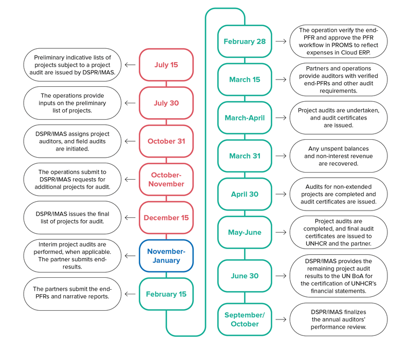 Timeline of the audit process