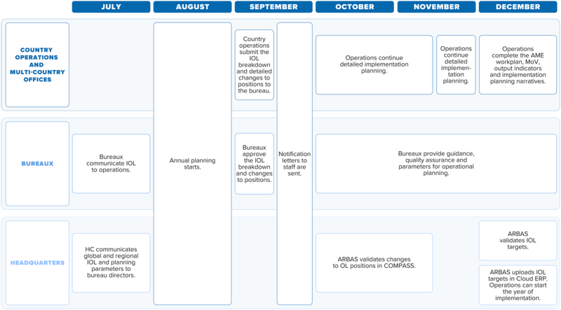 The annual implementation planning process