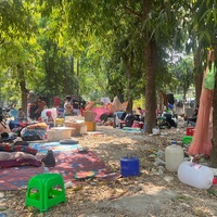 Families gather in the open under trees with their belongings.