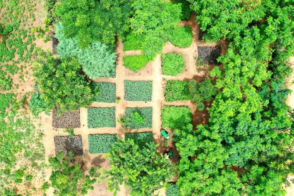 An aerial view of the tree nursery at Minawao where seedlings are grown before being planted in the community. © UNHCR/Xavier Bourgois