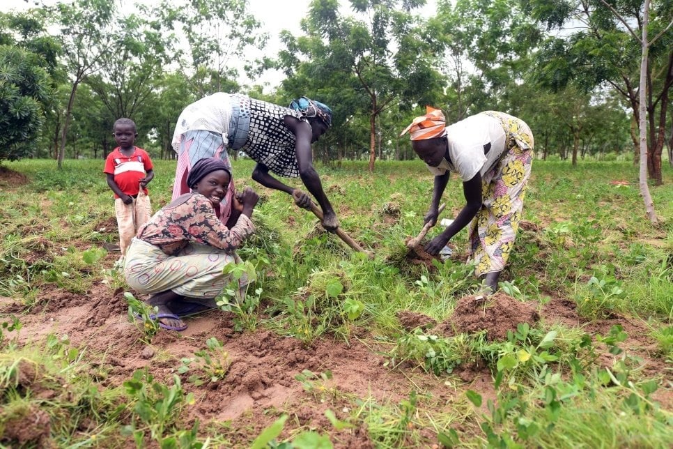 Refugee women work in the shade of some of the trees planted in and around Minawao refugee camp. © UNHCR/Xavier Bourgois