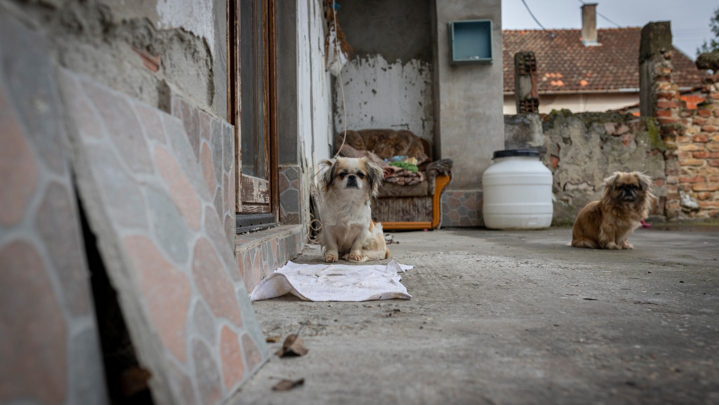 Croatia. Bosanka's house