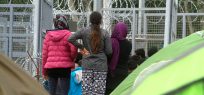 Hungary: UNHCR dismayed over further border restrictions and draft law targeting NGOs working with asylum-seekers and refugees 
