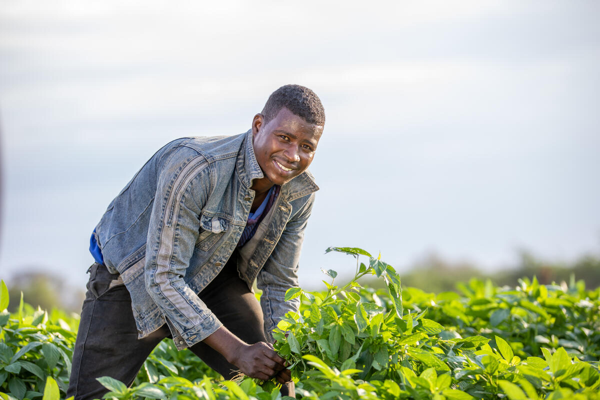 The report found progress on key objectives including enhancing refugee self-reliance and easing pressure on host countries.