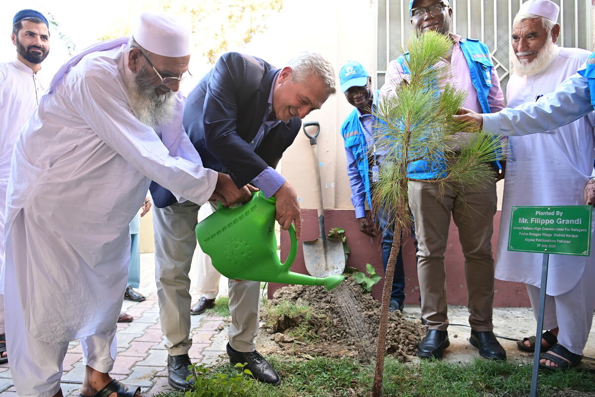 Two men water a newly planted sappling as others look on