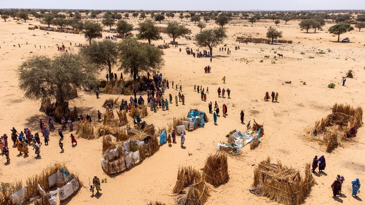 Aerial view of people standing near makeshift shelters in a sandy expanse dotted with trees