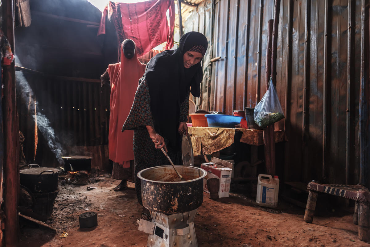 Ethiopia. Pesky weed provides energy and income for Somali refugees and hosts