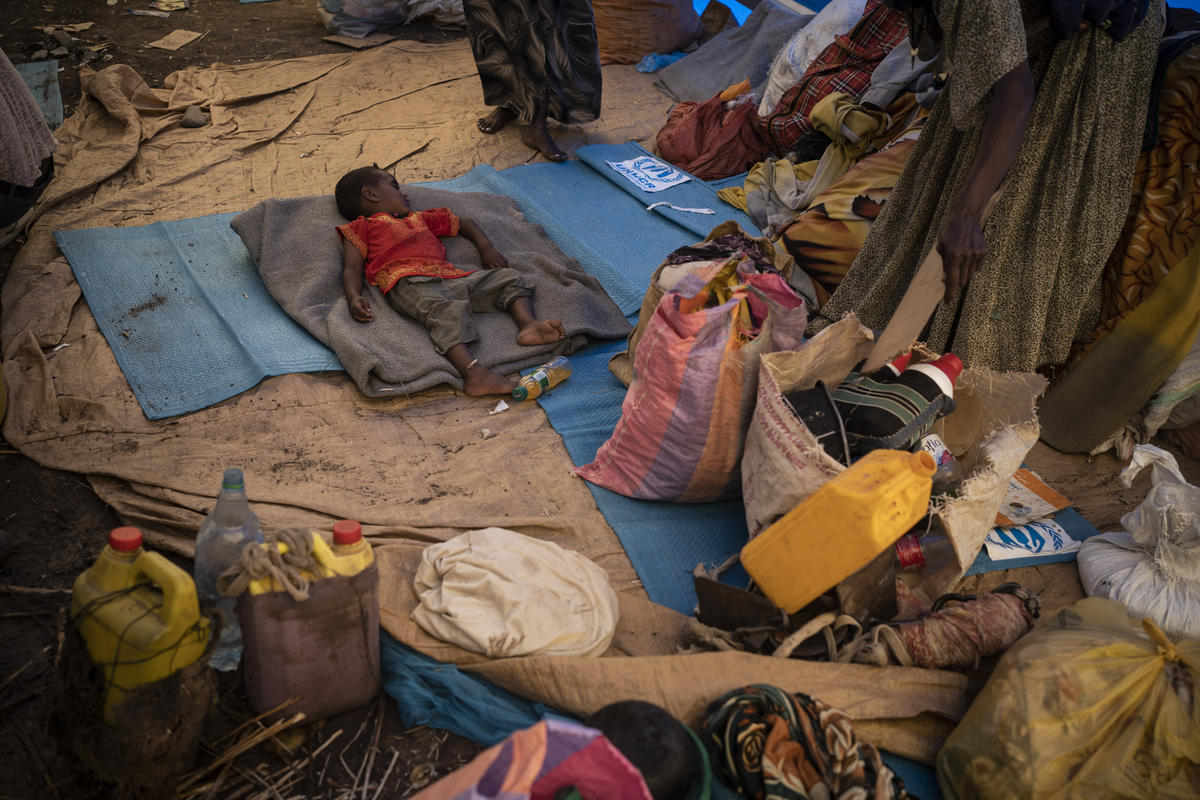 Sudan. Ethiopians fleeing violence in Tigray region receive UNHCR assistance