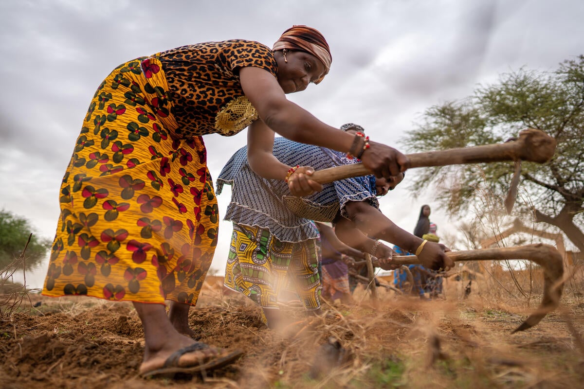 Burkina Faso. Women plant and sell beans as part of a cooperative