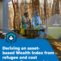 FDS methodological paper 02 – Deriving an asset-based wealth index from refugee and host community survey data