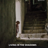 Living in the shadows - Jordan home visits report 2014