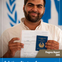 Afghan Solutions Strategy Progress Report 2014