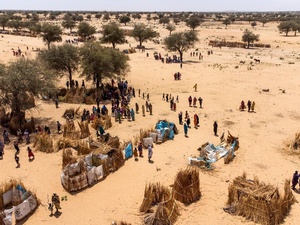 Aerial view of people standing near makeshift shelters in a sandy expanse dotted with trees