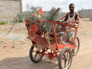 Yemen. Supporting recyclable waste collectors in Aden