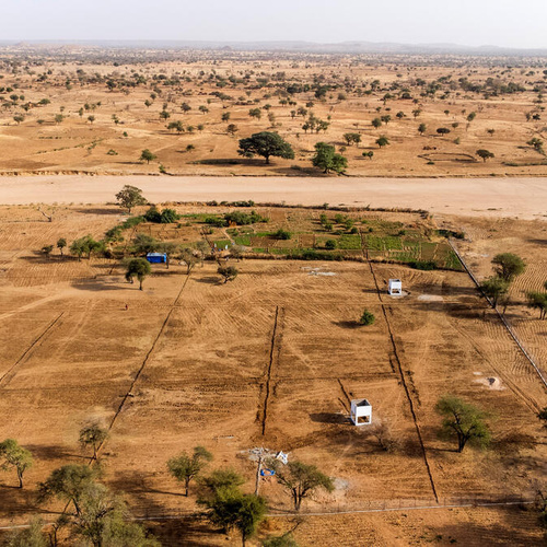 Water-spreading weirs, pictured from above, in an arid landscape in Eastern Chad
