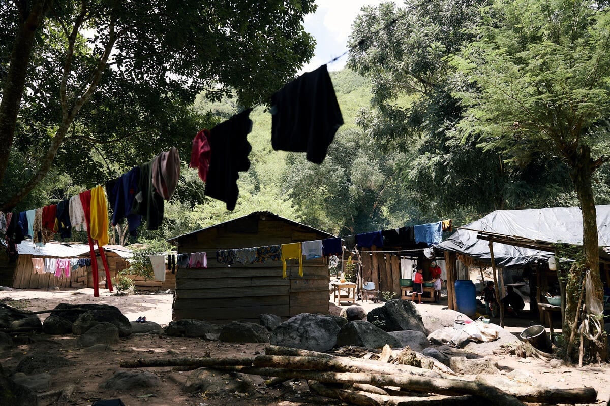 Clothes hang on lines to dry behind wooden huts in a forest clearing.
