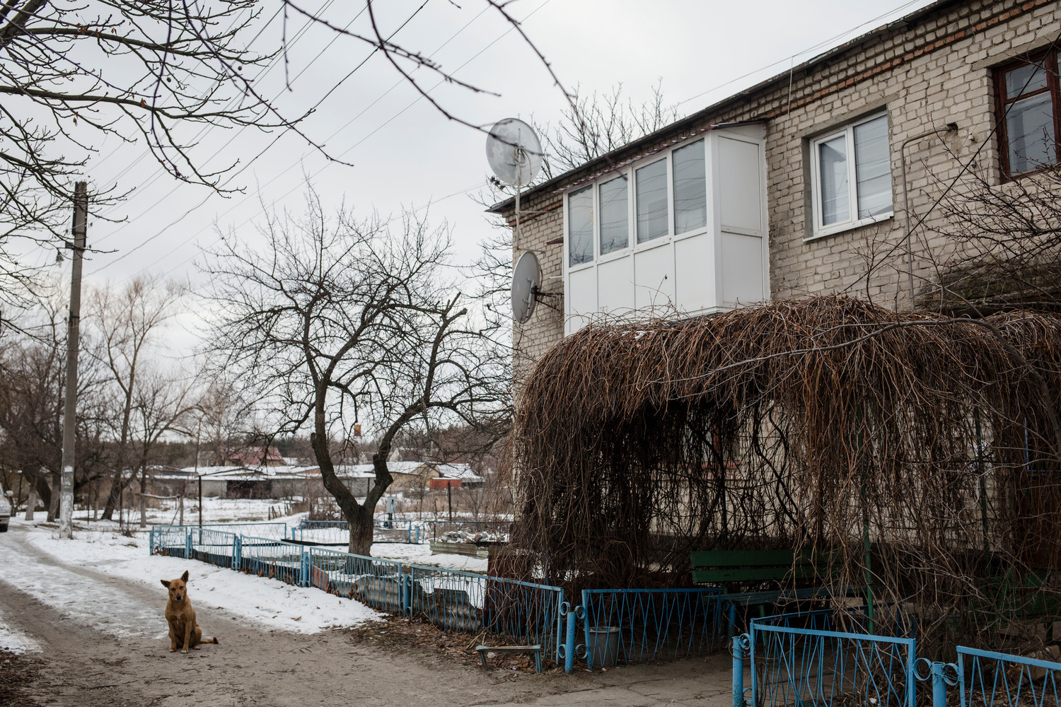 Ukraine. The elderly couple who won't leave the war zone