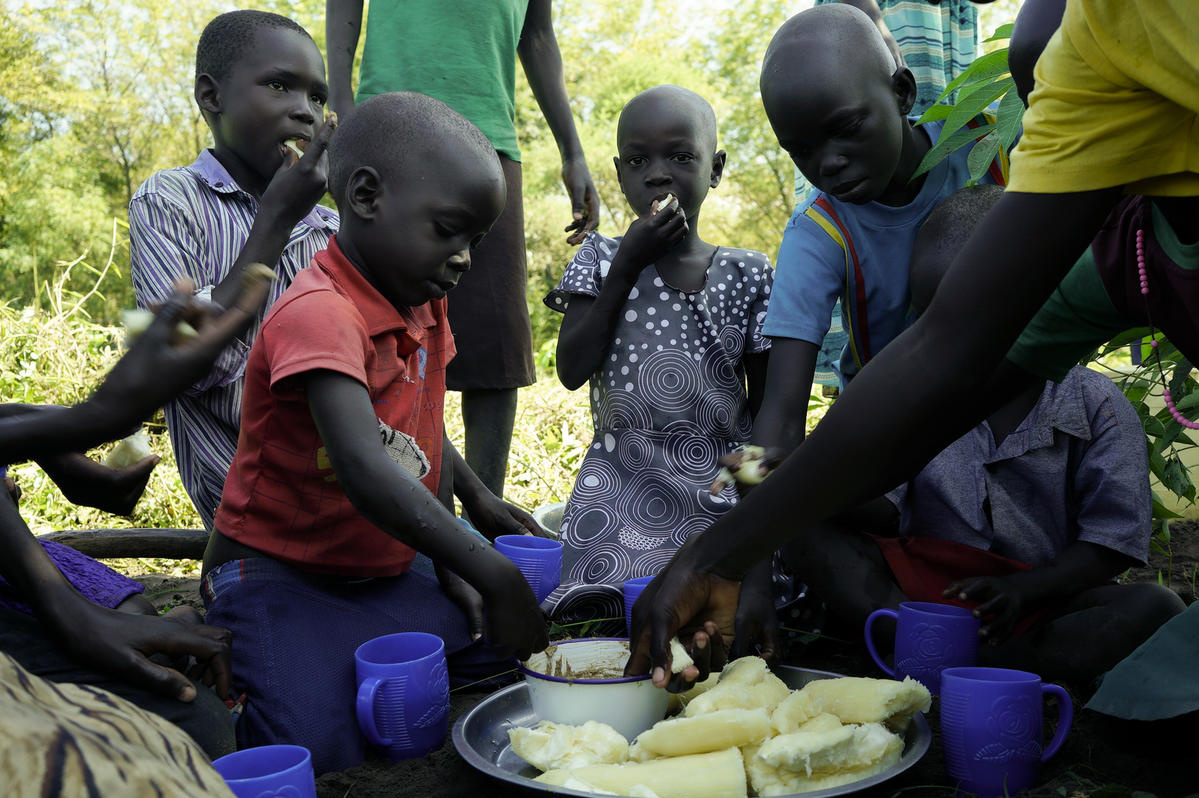 Uganda. South Sudanese refugees regenerate rice-growing economy