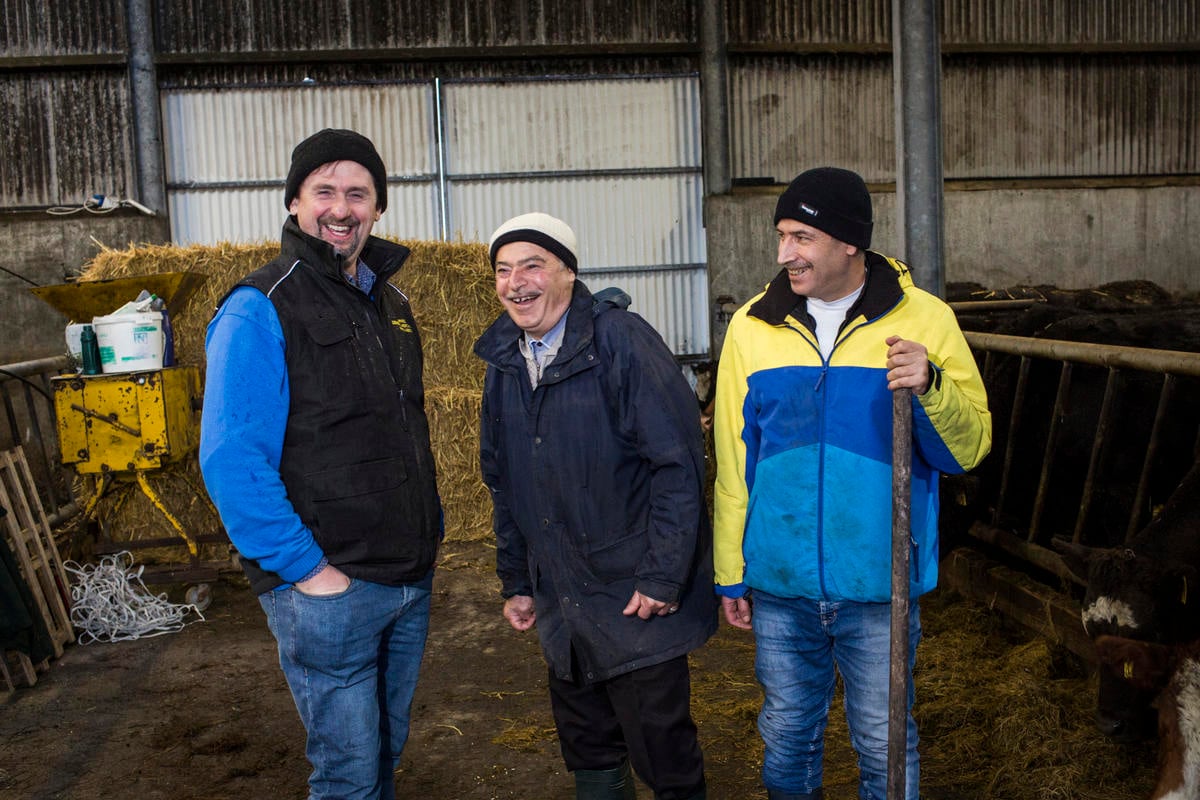 Ireland. An Irish social farming initiative giving Syrian refugee farmers an opportunity to work again