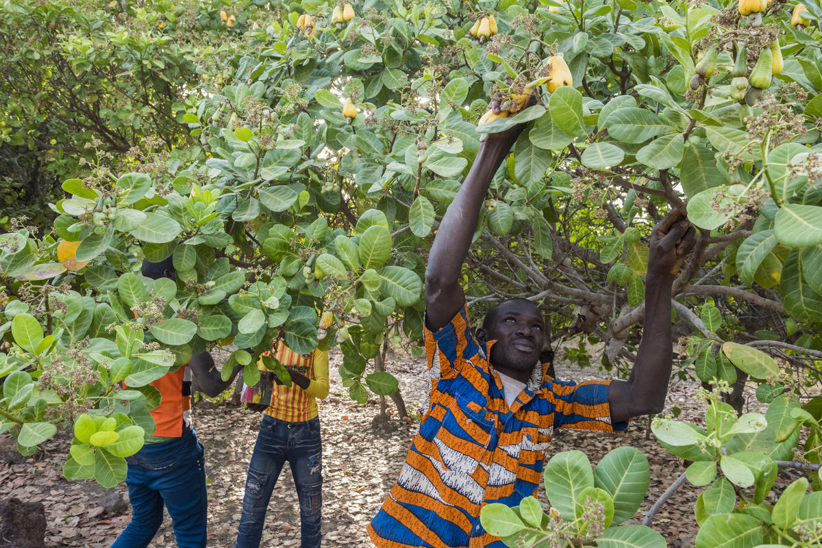 Côte d'Ivoire. UNHCR supporting an organisation campaigning against statelessness