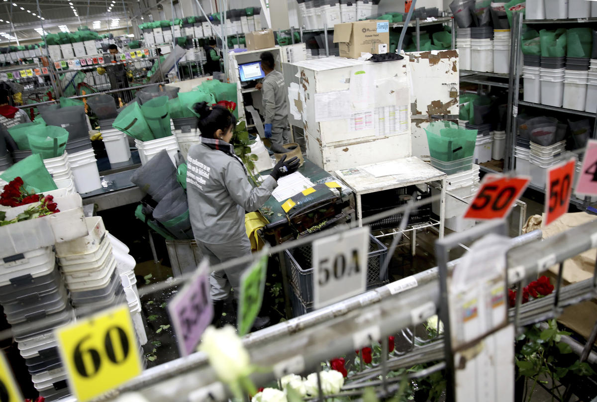 Colombia. Private sector steps up to employ Venezuelan refugees and migrants