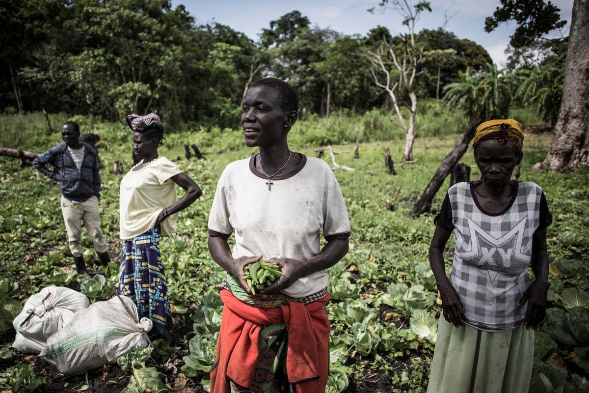 Democratic Republic of Congo. South Sudanese refugees grow local economy
