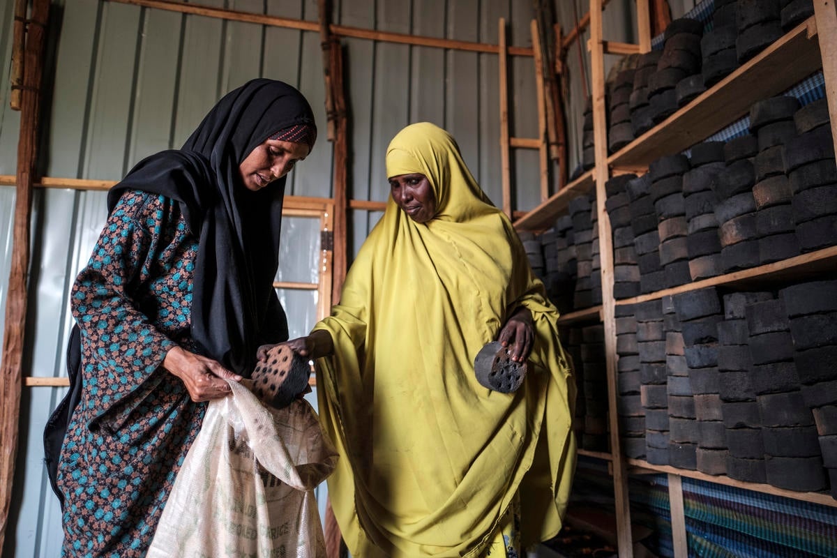 Ethiopia. Pesky weed provides energy and income for Somali refugees and hosts