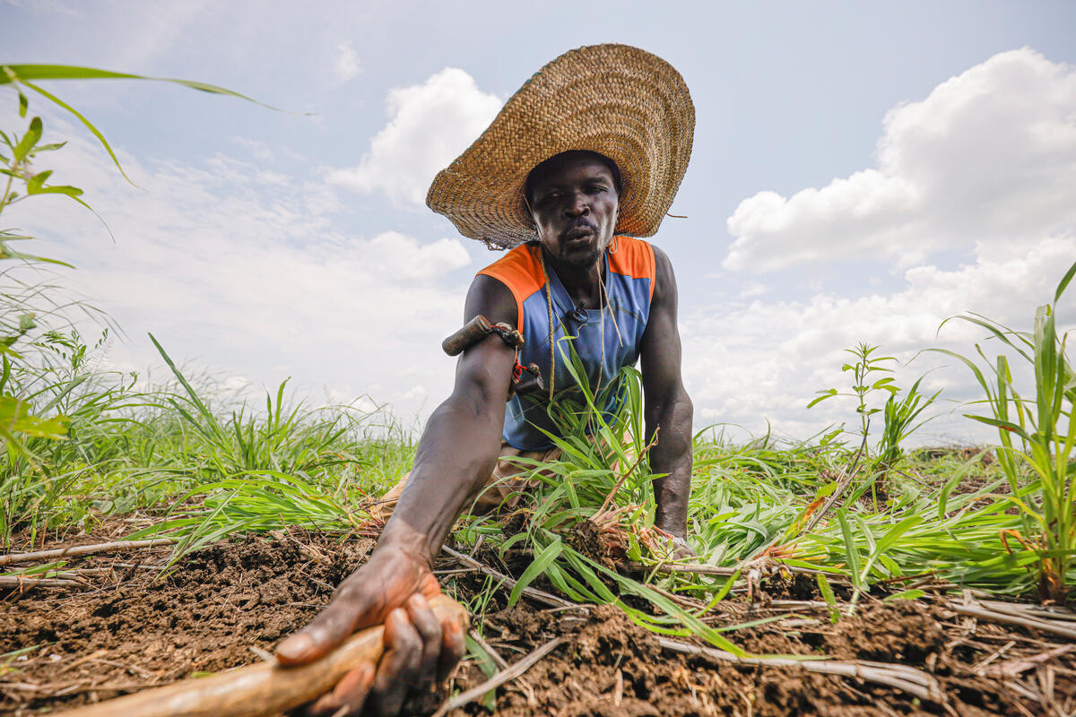 A farmer in a straw hat bends down to weed his field.
