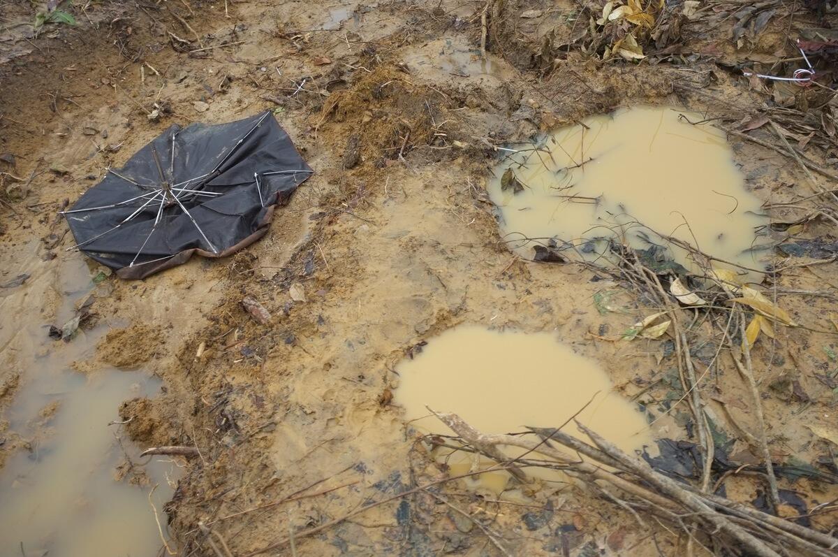 Bangladesh. Rohingya father and son killed in tragic accident