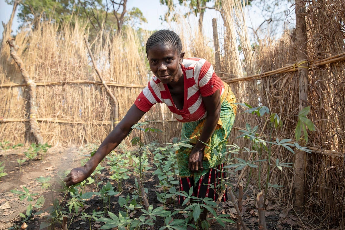 Zambia. Congolese refugees find peace among welcoming Zambians