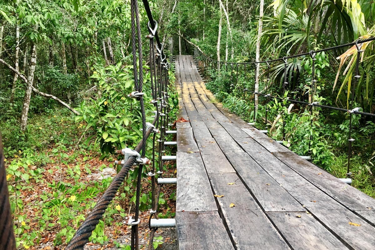 Guatemala. Refugees and asylum seekers care for Guatemala's jungle biodiversity