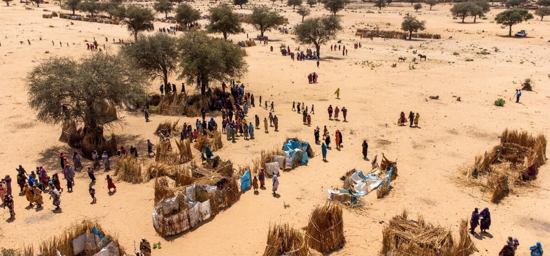 Aerial view of people standing near makeshift shelters in a sandy expanse dotted with trees