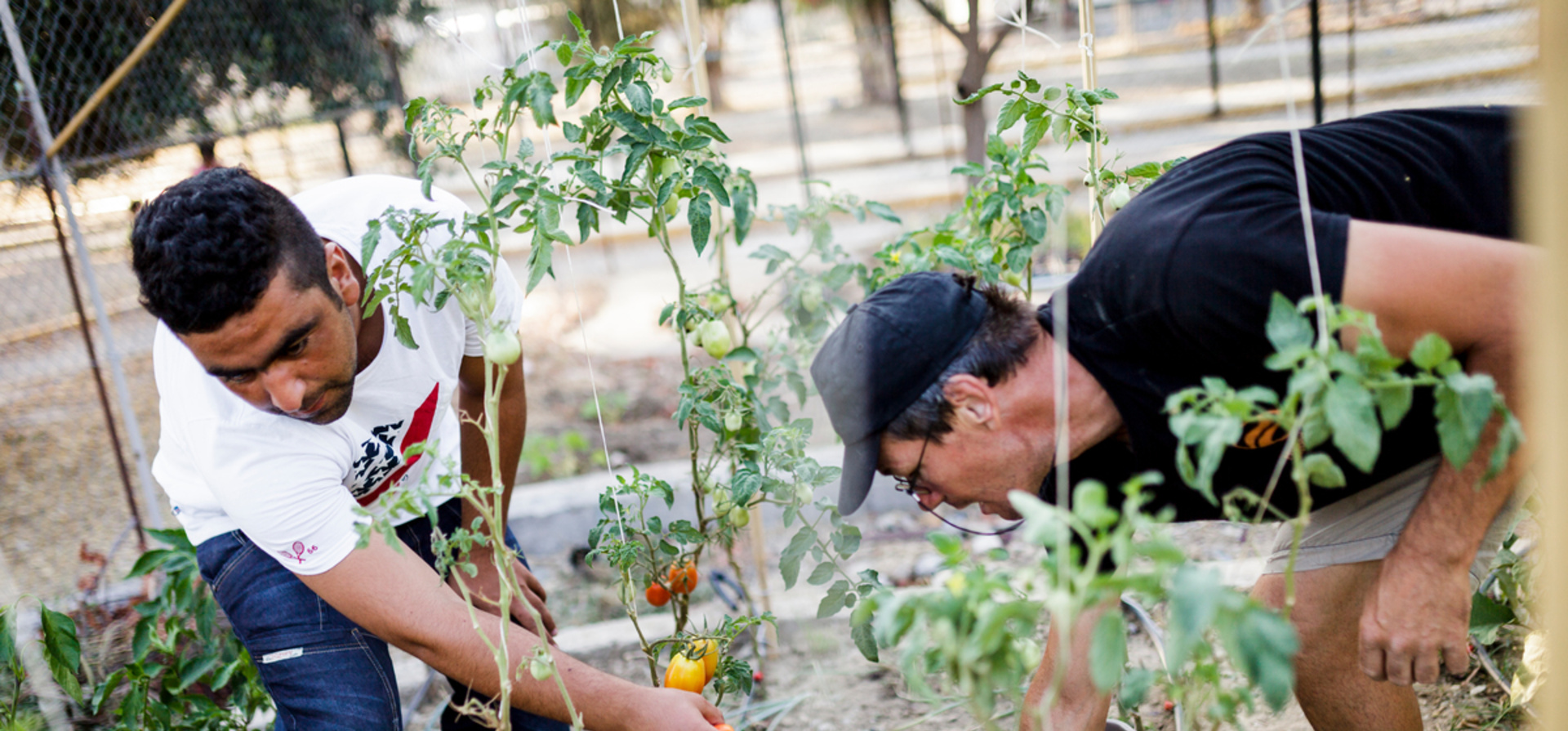 Afghan refugees 'give back' to needy Greek families